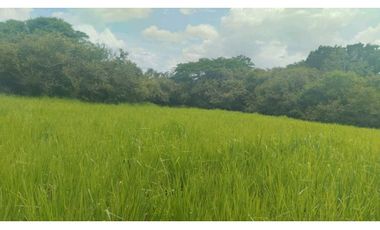 VENTA DE FINCA EN NAT PRECIO DE OPORTUNIDAD