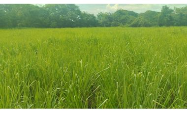 VENTA DE FINCA EN NAT PRECIO DE OPORTUNIDAD