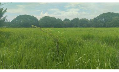 VENTA DE FINCA EN NAT PRECIO DE OPORTUNIDAD