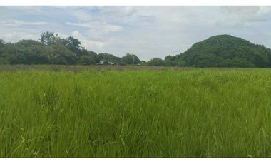 VENTA DE FINCA EN NAT PRECIO DE OPORTUNIDAD