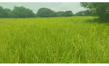 VENTA DE FINCA EN NAT PRECIO DE OPORTUNIDAD