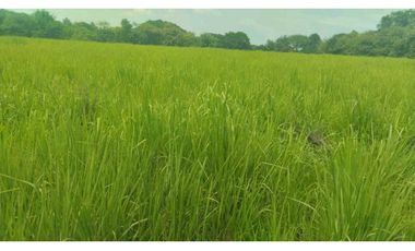 VENTA DE FINCA EN NAT PRECIO DE OPORTUNIDAD