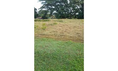 COSTA ESMERALDA / SAN CARLOS / 1009 M / VIA PRINCIPAL / PLAYA  AG