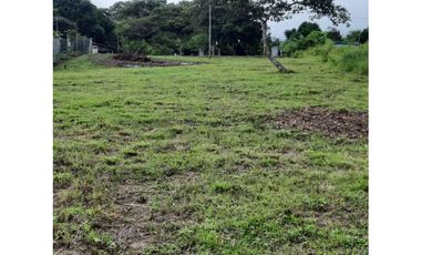 LAS UVAS / SAN CARLOS / 3697 M / CLIMA FRESCO / LOTE SERVIDO AG