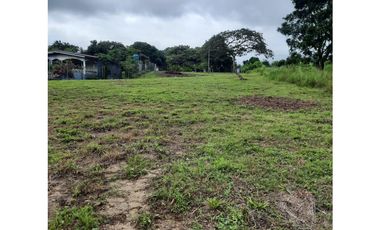 LAS UVAS / SAN CARLOS / 3697 M / CLIMA FRESCO / LOTE SERVIDO AG