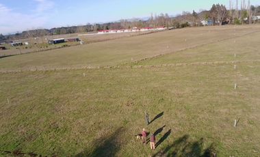 Parcelas a minutos de La Unión y Río Bueno