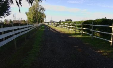 Parcelas a minutos de La Unión y Río Bueno