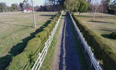 Parcelas a minutos de La Unión y Río Bueno