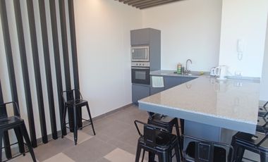 Isla Picton 171 (1 Est ) [3576-3]