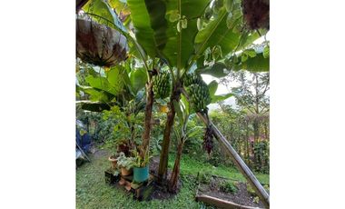 casa en venta en parcelacion amaga