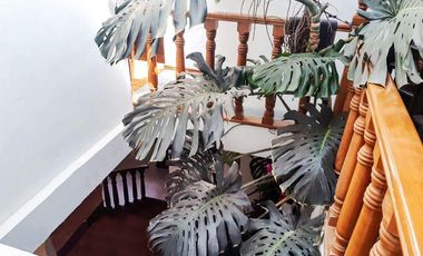 Casa en venta en Fracc. Santa Cruz Guadalupe, Zavaleta con 500m2 de jardín
