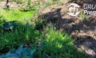 Parcela en Venta en Parcela El Olivo