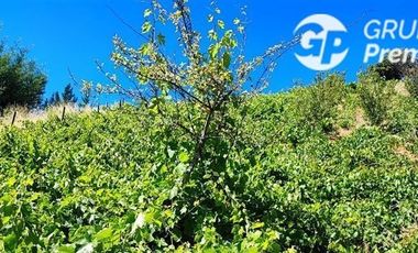 Parcela en Venta en Parcela El Olivo