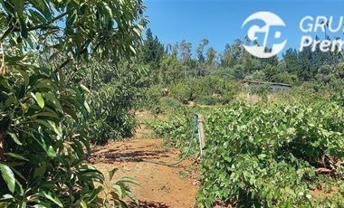 Parcela en Venta en Parcela El Olivo