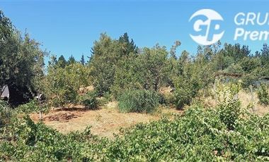 Parcela en Venta en Parcela El Olivo