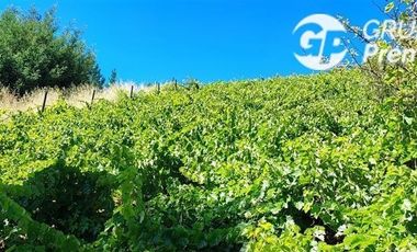 Parcela en Venta en Parcela El Olivo