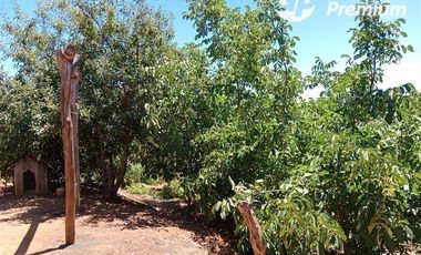 Parcela en Venta en Parcela El Olivo