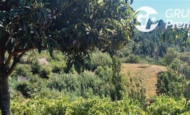 Parcela en Venta en Parcela El Olivo