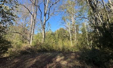 Terreno en venta ubicado en Molco