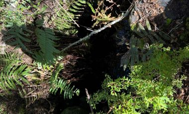 Terreno en venta ubicado en Molco