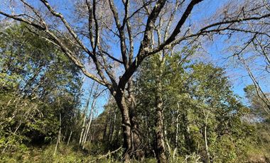Terreno en venta ubicado en Molco
