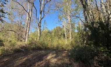 Terreno en venta ubicado en Molco