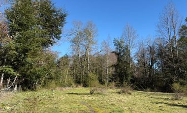 Terreno en venta ubicado en Molco