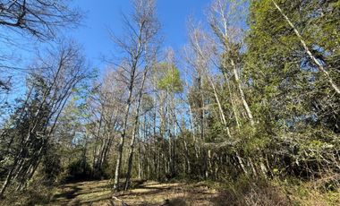Terreno en venta ubicado en Molco