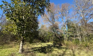 Terreno en venta ubicado en Molco