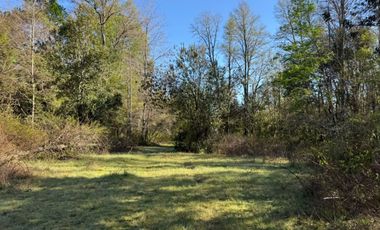 Terreno en venta ubicado en Molco