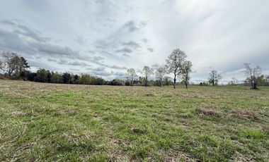 Agrícola en venta de 250ha ubicado en Villarrica Alto