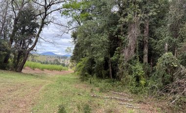 Agrícola en venta de 250ha ubicado en Villarrica Alto