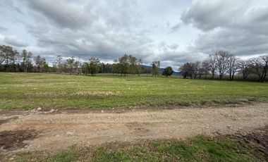 Agrícola en venta de 250ha ubicado en Villarrica Alto