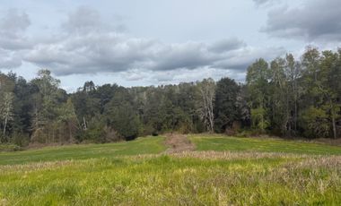 Agrícola en venta de 250ha ubicado en Villarrica Alto