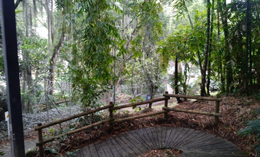 Casa Cortijo de San José