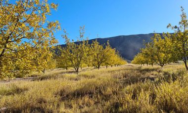 RANCHO AGROPECUARIO EN VENTA EN GENERAL CEPEDA, COAHUILA