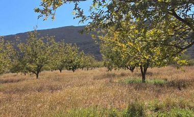RANCHO AGROPECUARIO EN VENTA EN GENERAL CEPEDA, COAHUILA