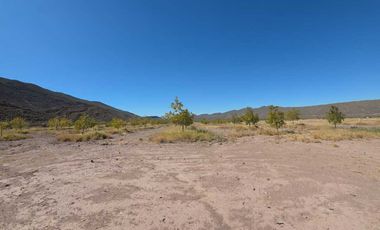 RANCHO AGROPECUARIO EN VENTA EN GENERAL CEPEDA, COAHUILA