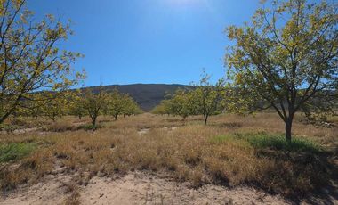 RANCHO AGROPECUARIO EN VENTA EN GENERAL CEPEDA, COAHUILA