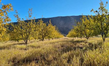 RANCHO AGROPECUARIO EN VENTA EN GENERAL CEPEDA, COAHUILA