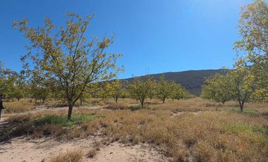 RANCHO AGROPECUARIO EN VENTA EN GENERAL CEPEDA, COAHUILA