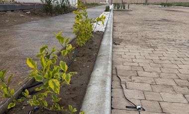 TERRENOS RESIDENCIALES EN VENTA CONDOMINIO BOREAL AL PONIENTE DE AGUASCALIENTES