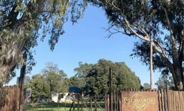 Terreno en venta - 2.800Mts2 - Cañuelas