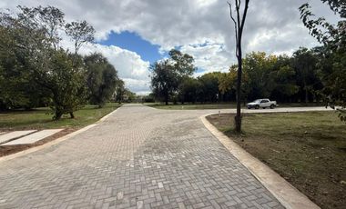 Terreno en Venta Barrio Privado Altos de San Carlos - Ingeniero Pablo Nogués