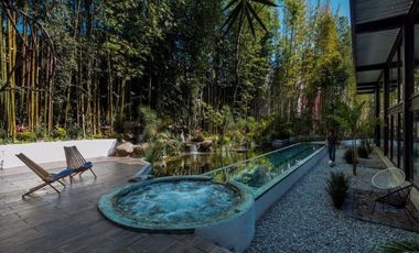 Venta de Departamento con Roof Garden, Cuernavaca, Morelos.