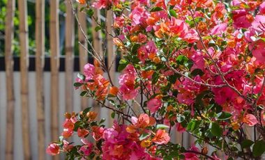 Venta de Departamento con Roof Garden, Cuernavaca, Morelos.