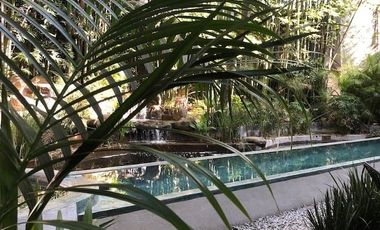 Venta de Departamento con Roof Garden, Cuernavaca, Morelos.