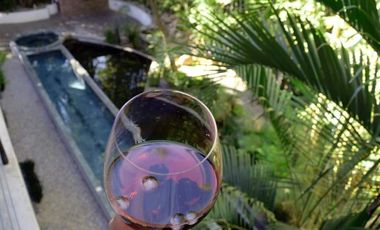 Venta de Departamento con Roof Garden, Cuernavaca, Morelos.