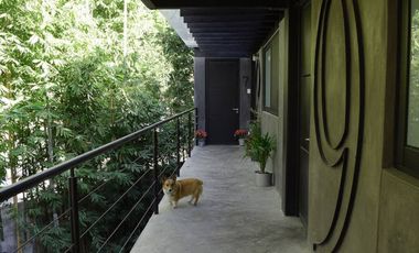 Venta de Departamento con Roof Garden, Cuernavaca, Morelos.