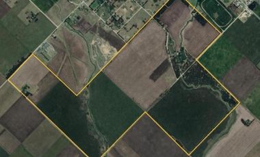 Campo en venta - 39.000.000Mts2 - Lobería